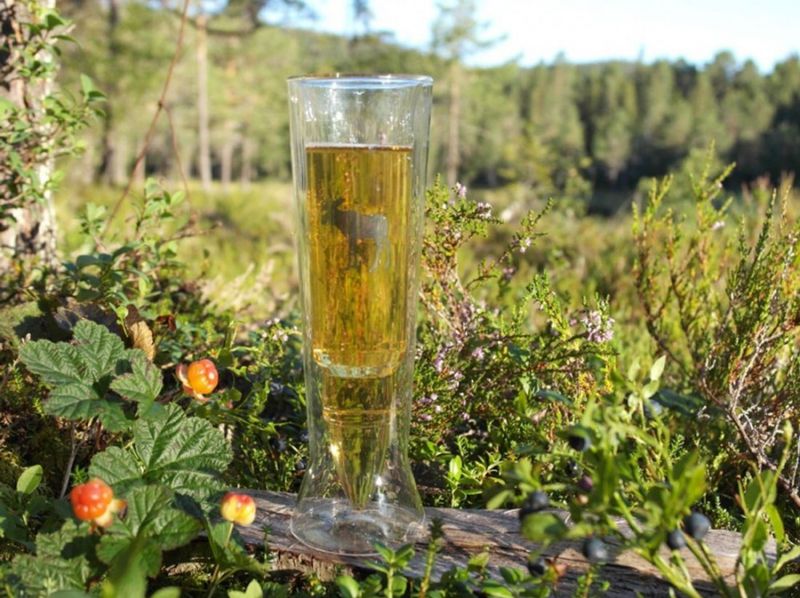 Silver Moose Øl Glass
