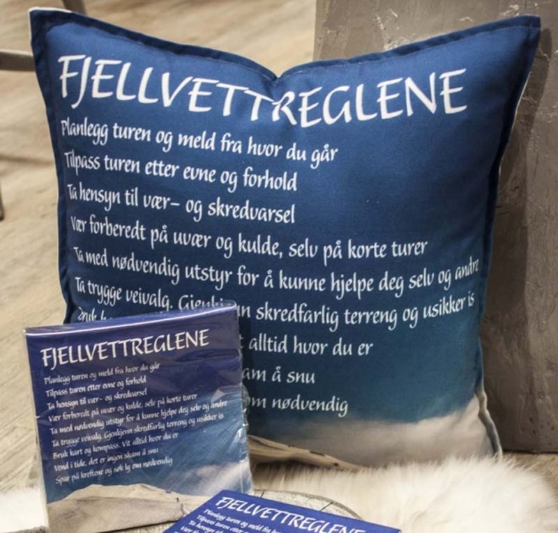 Pute med fototrykk - Fjellettregler, blå